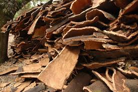 madera
